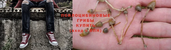 бошки Верхний Тагил
