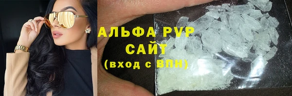 хмурый Верея