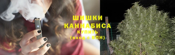 хмурый Верея