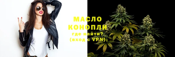 хмурый Верея