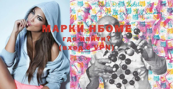 хмурый Верея