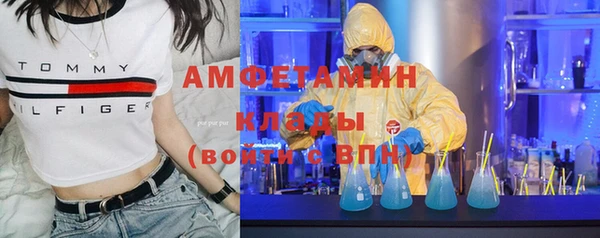 хмурый Верея