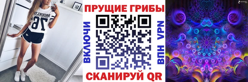 Псилоцибиновые грибы прущие грибы  Купить закладки  Удомля 